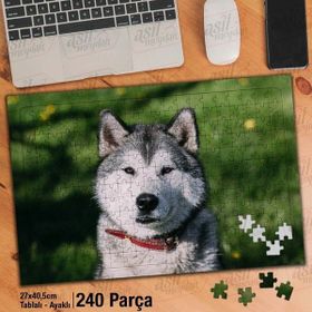 Asil Hobi Husky-Sibirya Kurdu-Vahşi Hayvan Yapboz-Ayak Destekli Çerçeveli 240 Parça Puzzle
