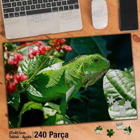 Asil Hobi İguana-Yeşil-Bitki-Çiçek-Hayvan Yapboz-Ayak Destekli Çerçeveli 240 Parça Puzzle