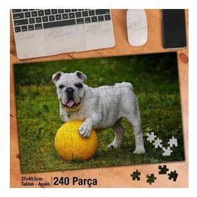 Asil Hobi İngiliz Bulldog-Köpek-Sarı Top Yapboz-Ayak Destekli Çerçeveli 240 Parça Puzzle