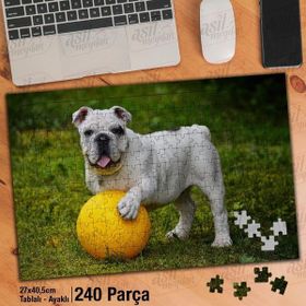 Asil Hobi İngiliz Bulldog-Köpek-Sarı Top Yapboz-Ayak Destekli Çerçeveli 240 Parça Puzzle