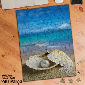 Asil Hobi İstiridye Kabuğu-Midye-Deniz-Kumsal Yapboz-Ayak Destekli Çerçeveli 240 Parça Puzzle