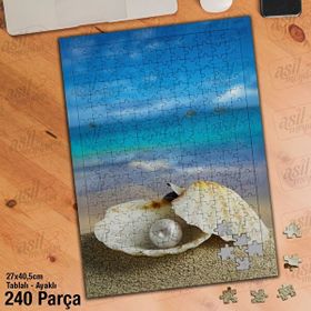 Asil Hobi İstiridye Kabuğu-Midye-Deniz-Kumsal Yapboz-Ayak Destekli Çerçeveli 240 Parça Puzzle