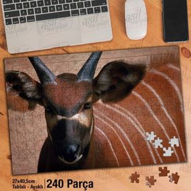 Asil Hobi Kahverengi Antilop-Doğa-Vahşi Hayvan Yapboz-Ayak Destekli Çerçeveli 240 Parça Puzzle