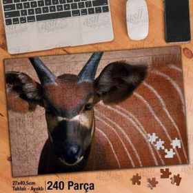 Asil Hobi Kahverengi Antilop-Doğa-Vahşi Hayvan Yapboz-Ayak Destekli Çerçeveli 240 Parça Puzzle