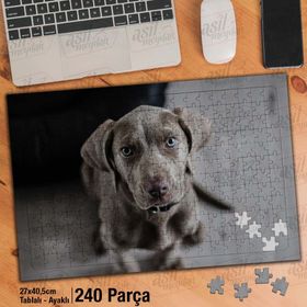 Asil Hobi Kahverengi Sevimli Köpek-Hayvan Yapboz-Ayak Destekli Çerçeveli 240 Parça Puzzle