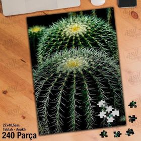 Asil Hobi Kaktüs-Çiçek-Diken-Bitki-Doğa Yapboz-Ayak Destekli Çerçeveli 240 Parça Puzzle