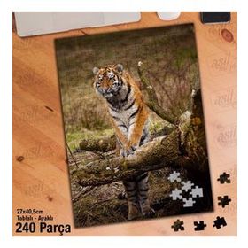Asil Hobi Kaplan-Ağaç-Doğa-Vahşi Yaşam Yapboz-Ayak Destekli Çerçeveli 240 Parça Puzzle