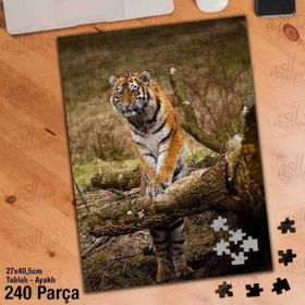 Asil Hobi Kaplan-Ağaç-Doğa-Vahşi Yaşam Yapboz-Ayak Destekli Çerçeveli 240 Parça Puzzle