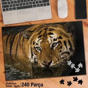 Asil Hobi Kaplan-Gözler-Göl-Yabani-Vahşi Yapboz-Ayak Destekli Çerçeveli 240 Parça Puzzle