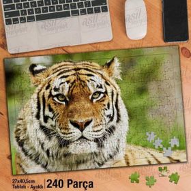 Asil Hobi Kaplan-Orman-Amazon-Hayvan Yapboz-Ayak Destekli Çerçeveli 240 Parça Puzzle