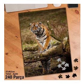 Asil Hobi Kaplan-Orman-Amazon-Vahşi Yaşam Yapboz-Ayak Destekli Çerçeveli 240 Parça Puzzle
