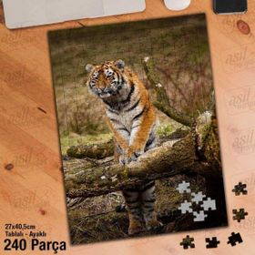Asil Hobi Kaplan-Orman-Amazon-Vahşi Yaşam Yapboz-Ayak Destekli Çerçeveli 240 Parça Puzzle