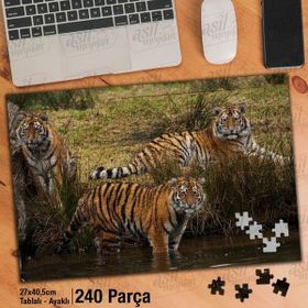 Asil Hobi Kaplan-Orman-Vahşi Yaşam-Doğa-Hayvan Yapboz-Ayak Destekli Çerçeveli 240 Parça Puzzle