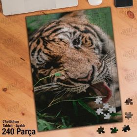 Asil Hobi Kaplan-Orman-Vahşi Yaşam-Doğa-Hayvan Yapboz-Ayak Destekli Çerçeveli 240 Parça Puzzle