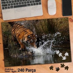 Asil Hobi Kaplan-Orman-Vahşi Yaşam-Doğa-Hayvan Yapboz-Ayak Destekli Çerçeveli 240 Parça Puzzle