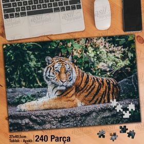 Asil Hobi Kaplan-Vahşi Doğa-Vahşi Hayvanlar Yapboz-Ayak Destekli Çerçeveli 240 Parça Puzzle