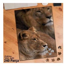 Asil Hobi Kaplan-Vahşi Yaşam-Doğa-Hayvan Yapboz-Ayak Destekli Çerçeveli 240 Parça Puzzle