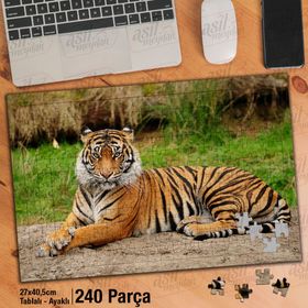 Asil Hobi Kaplan-Vahşi Yaşam-Hayvan-Amazon Yapboz-Ayak Destekli Çerçeveli 240 Parça Puzzle