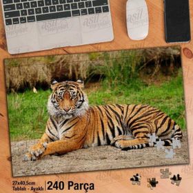 Asil Hobi Kaplan-Vahşi Yaşam-Hayvan-Amazon Yapboz-Ayak Destekli Çerçeveli 240 Parça Puzzle