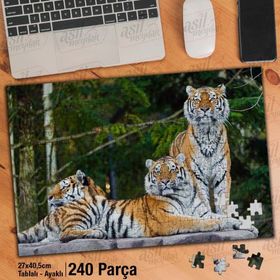 Asil Hobi Kaplanlar-Doğa-Vahşi Yaşam-Hayvan Yapboz-Ayak Destekli Çerçeveli 240 Parça Puzzle