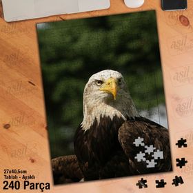 Asil Hobi Kartal-Vahşi Hayvan-Doğa Yapboz-Ayak Destekli Çerçeveli 240 Parça Puzzle
