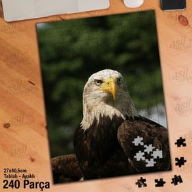 Asil Hobi Kartal-Vahşi Hayvan-Doğa Yapboz-Ayak Destekli Çerçeveli 240 Parça Puzzle