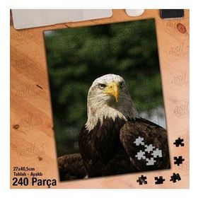 Asil Hobi Kartal-Vahşi Hayvan-Doğa Yapboz-Ayak Destekli Çerçeveli 240 Parça Puzzle