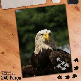 Asil Hobi Kartal-Vahşi Hayvan-Doğa Yapboz-Ayak Destekli Çerçeveli 240 Parça Puzzle