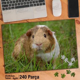 Asil Hobi Kemirgen Hayvan-Çimenlik-Açık Alan Yapboz-Ayak Destekli Çerçeveli 240 Parça Puzzle