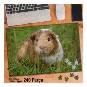 Asil Hobi Kemirgen Hayvan-Çimenlik-Açık Alan Yapboz-Ayak Destekli Çerçeveli 240 Parça Puzzle