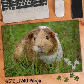 Asil Hobi Kemirgen Hayvan-Çimenlik-Açık Alan Yapboz-Ayak Destekli Çerçeveli 240 Parça Puzzle