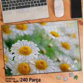 Asil Hobi Kır Bahçesinde Beyaz Papatyalar-Çiçek Yapboz-Ayak Destekli Çerçeveli 240 Parça Puzzle