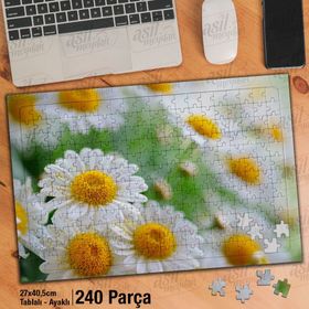 Asil Hobi Kır Bahçesinde Beyaz Papatyalar-Çiçek Yapboz-Ayak Destekli Çerçeveli 240 Parça Puzzle