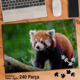Asil Hobi Kırmızı Panda-Amazon-Doğa-Yeşil Ağaç Yapboz-Ayak Destekli Çerçeveli 240 Parça Puzzle