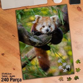 Asil Hobi Kırmızı Panda-Amazon-Doğa-Yeşil Ağaç Yapboz-Ayak Destekli Çerçeveli 240 Parça Puzzle