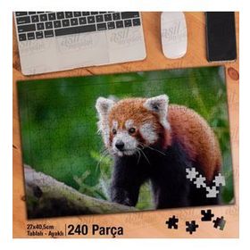 Asil Hobi Kırmızı Panda-Amazon-Doğa-Yeşil Ağaç Yapboz-Ayak Destekli Çerçeveli 240 Parça Puzzle