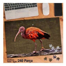 Asil Hobi Kızıl Aynak-Hayvan-Doğa-Tropikal Yapboz-Ayak Destekli Çerçeveli 240 Parça Puzzle