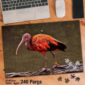 Asil Hobi Kızıl Aynak-Hayvan-Doğa-Tropikal Yapboz-Ayak Destekli Çerçeveli 240 Parça Puzzle