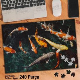 Asil Hobi Koi Balığı-Renkli Akvaryum Balıkları Yapboz-Ayak Destekli Çerçeveli 240 Parça Puzzle