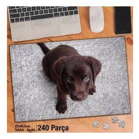 Asil Hobi Köpek Yavrusu-Labrador-Safkan Köpeği Yapboz-Ayak Destekli Çerçeveli 240 Parça Puzzle