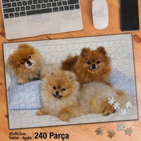 Asil Hobi Küçük Ve Güzel Köpekler-Sevimli Hayvan Yapboz-Ayak Destekli Çerçeveli 240 Parça Puzzle