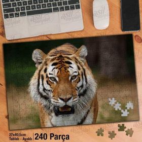 Asil Hobi Kükreyen Kaplan-Vahşi Yaşam-Hayvan Yapboz-Ayak Destekli Çerçeveli 240 Parça Puzzle