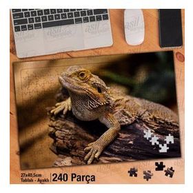 Asil Hobi Kuru Ağaç Üzerinde Kertenkele-Hayvan Yapboz-Ayak Destekli Çerçeveli 240 Parça Puzzle