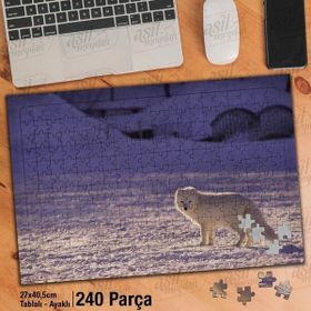 Asil Hobi Kutup Tilkisi-Kar-Soğuk-Beyaz-Doğa Yapboz-Ayak Destekli Çerçeveli 240 Parça Puzzle