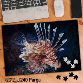 Asil Hobi Lionfish-Sualtı Canlıları-Balık Yapboz-Ayak Destekli Çerçeveli 240 Parça Puzzle