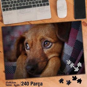 Asil Hobi Masum-Sevimli Hayvan-Köpek-Doğa Yapboz-Ayak Destekli Çerçeveli 240 Parça Puzzle