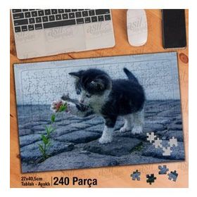 Asil Hobi Mavi Gözlü Sevimli Kedi-Çiçek-Sokak Yapboz-Ayak Destekli Çerçeveli 240 Parça Puzzle