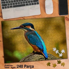 Asil Hobi Mavi Yalıçapkını Kuşu-Tropik Hayvan Yapboz-Ayak Destekli Çerçeveli 240 Parça Puzzle