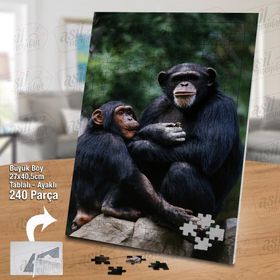 Asil Hobi Maymun-Vahşi Yaşam-Amazon Yapboz-Ayak Destekli Çerçeveli 240 Parça Puzzle