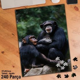 Asil Hobi Maymun-Vahşi Yaşam-Amazon Yapboz-Ayak Destekli Çerçeveli 240 Parça Puzzle